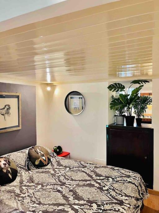 Apartment Campo De' Fiori Loft The Angeli's *